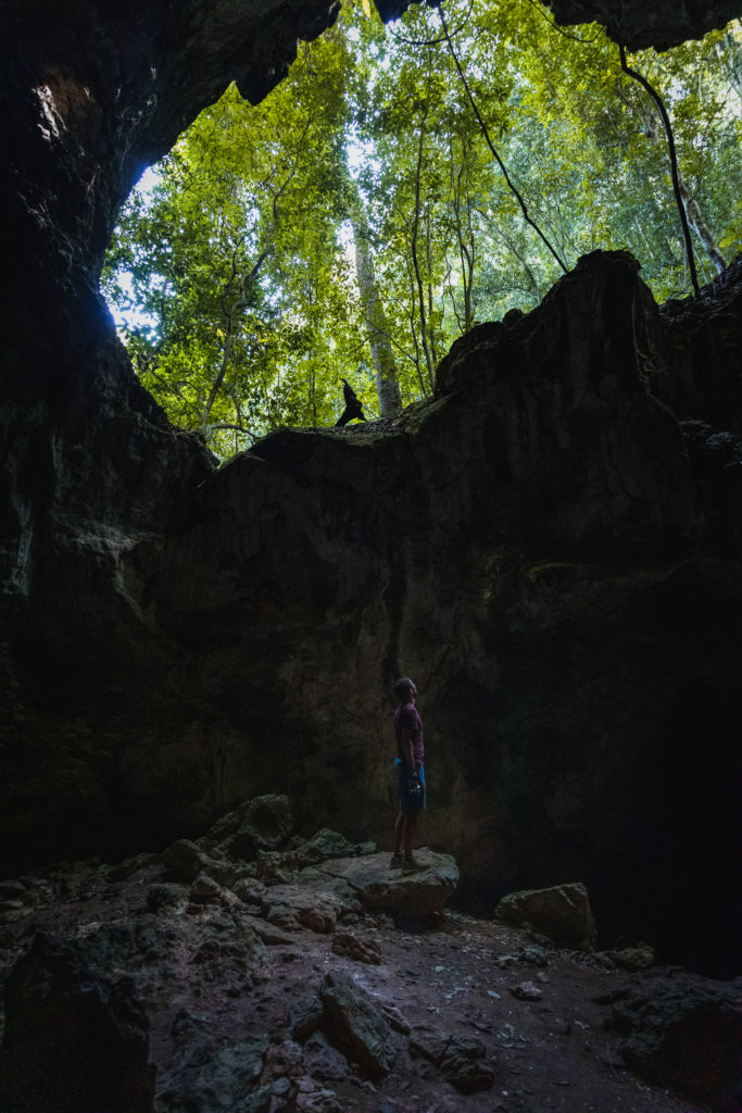 Grotte Los Haitises